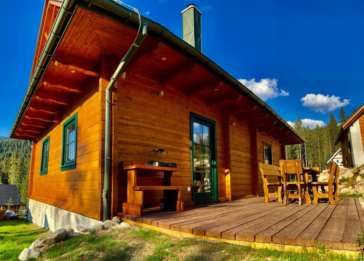 Chalet Blueberry *