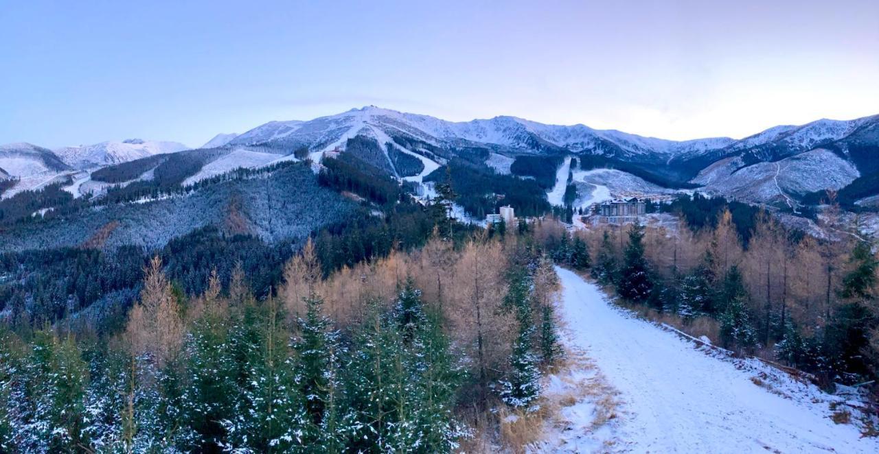 Chalet Blueberry Demanovska Dolina