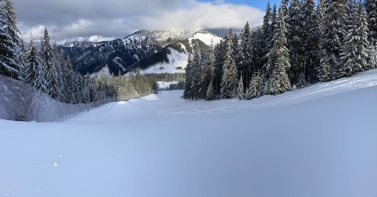 Chalet Blueberry Demanovska Dolina
