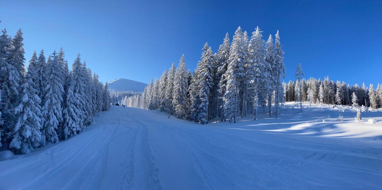 Chalet Blueberry Demanovska Dolina